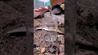 ✅Starting a Fire with a WaterFilled Can camping survival bushcraft fire [upl. by Aelrac]