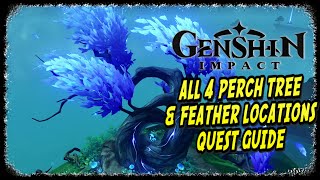 Genshin Impact A Particularly Particular Author Quest Guide All Perch Tree and Feathers [upl. by Okeim]