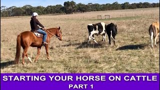 CAMPDRAFT TRAINING I Starting Your Horse on Cattle  Part 1 [upl. by Tenej]