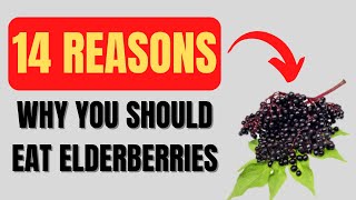 Elderberry Benefits 14 Impressive Elderberry Health Benefits [upl. by Lennad]