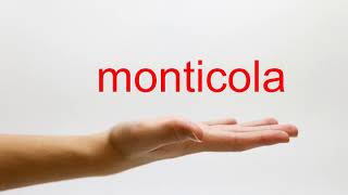 How to Pronounce monticola  American English [upl. by Nelsen228]