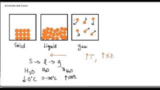 Intermolecular Forces 21 [upl. by Ellevehc]