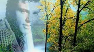 Ricky Nelson～I Should Have Loved You MoreSlideShow [upl. by Fleming]