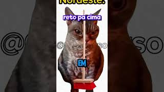 tipos de quotfalasquot no brasil vtuber memes [upl. by Stucker]