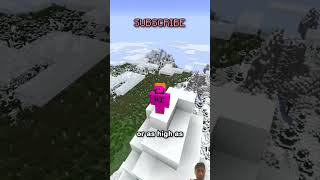 make faster horses this video doesntmatter at all causecan justget an elytraand flying minecraft [upl. by Leribag]