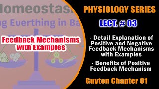 Physiology Series Lect 03  Details of Positive and Negative Feedback Mechanisms in UrduHindi [upl. by Quarta]