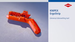 KNIPEX ErgoStrip® 16 95 01 SB [upl. by Hyams]