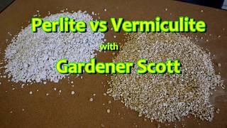 Perlite vs Vermiculite [upl. by Wrightson]