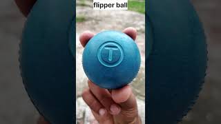 flipper ball 🧐🧐flipper tips shortvideos shorts youtubeshorts [upl. by Courtnay]