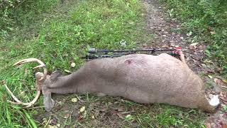 Opening Day 10 Point  3 Inch Swhacker [upl. by Sitnik]