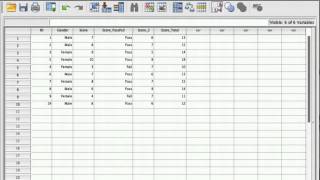 Tutorial Introduction to SPSS [upl. by Stokes]