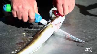 Inside Fishing Extra How to prepare a Boneless Flathead Fillet [upl. by Yralih20]