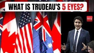 What is Five Eyes Alliance Canada PM Trudeaus Basis for Linking India to Nijjar Assassination [upl. by Livvi848]