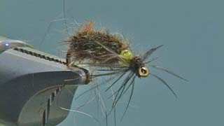 Cased Caddis fly tying video instruction by Shane Stalcup [upl. by Keri734]