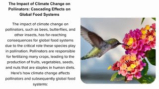 The Impact of Climate Change on Pollinators Cascading Effects on Global Food Systems [upl. by Lacagnia282]