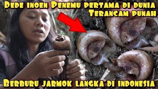 BERBURU JARMOK YANG DILINDUNGI DI INDONESIA [upl. by Josiah]