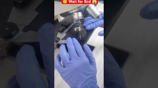 Microscopic World 🌎😱🧐 shortvideo lab labtechinicians viralvideo [upl. by Valle]