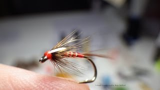 Tying a Red Quilled Cruncher by Davie McPhail [upl. by Oenire]