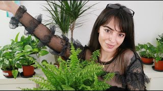 ASMR Plant Tour 🌱 Show amp Tell Whispered [upl. by Annawoj653]