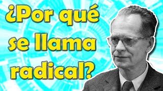 CONDUCTISMO RADICAL DE SKINNER ☑️9 principales POSTULADOS del condicionamiento operante☑️ [upl. by Aennil]