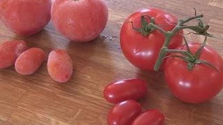 How To Freeze Your Tomatoes [upl. by Ecerehs]