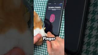 ER HAT DEN FINGERABDRUCK DES HAMSTERS AUF SEIN HANDY GESPEICHERT 😂 [upl. by Anilram]