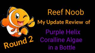 My Update Review of Purple Helix Coralline Algae in a Bottle [upl. by Yelime354]