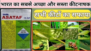 Acephate 75sp। adama acemain। tata asataf। acefate 75। best insecticide। [upl. by Davy672]