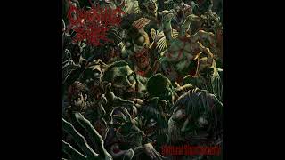 ChokingOnBile  Guttural Slam Insanity Full Album [upl. by Tod459]