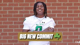 “Hell knock the heck out of ya” — Breakdown of new Notre Dame LB commit Thomas Davis Jr ☘️ [upl. by Ydnam662]