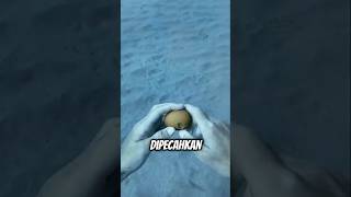 Penyelam ini Eksperimen memecahkan Telur di Dalam Laut shortvideo trending viralvideo [upl. by Olcott]