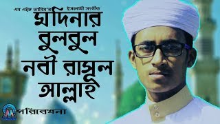 Islamic Song Modinar Bulbul Nobi Rasul Allah  MH Tamim  Gazal 2021 [upl. by Delinda807]