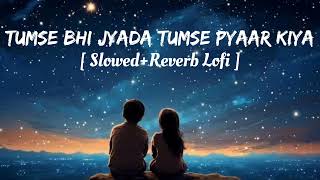 Tumse Bhi Jyada Tumse Pyaar Kiya  Slowed  Reverb Lofi Song  Black Boy 01 [upl. by Dronski585]