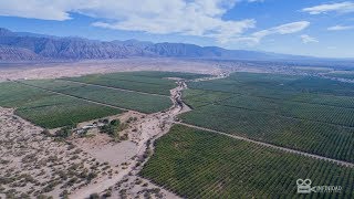 Las Pircas Hotel Boutique amp Bungalow  Tinogasta Catamarca Argentina [upl. by Hirsch]