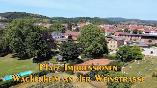 PfalzImpressionen  Wachenheim an der Weinstrasse [upl. by Dimmick]