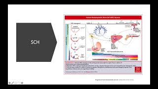 Hematología 1 Hematopoyesis [upl. by Steiner152]