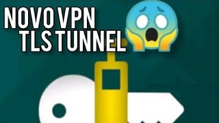 como configurar o VPN TLS TUNNEL pelo método fácil 2024 [upl. by Tatianas296]