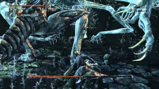 Bloodborne Boss Guide How to beat Amygdala [upl. by Adelaida]