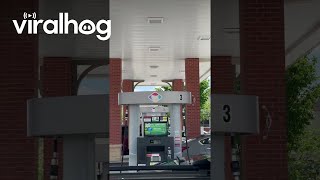 UFO Car Spotted at Gas Station  ViralHog [upl. by Senecal]