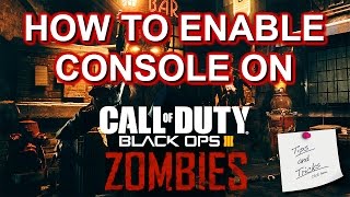 How to Enable Console On Call of Duty Black Ops 3 [upl. by Eilac]