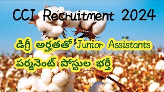 CCI Recruitment 2024 cotton corporation of India Recruitment 2024 how to fill online cci form [upl. by Cirdnek]