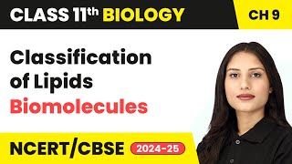 Classification of Lipids  Biomolecules  Class 11 Biology Chapter 9  CBSE 202425 [upl. by Wales]