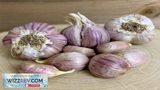 Garlic Hard Neck Svea – Seeds Review [upl. by Ware]