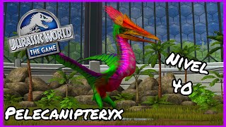 Pelecanipteryx no Nível 40  Jurassic World The Game [upl. by Drofwarc]