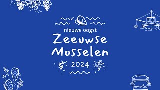 Nieuw seizoen Zeeuwse mosselen 2024 van start [upl. by Arad]