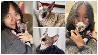 Janet and Kate adopted a hairless Cat Part 2 [upl. by Marvella]