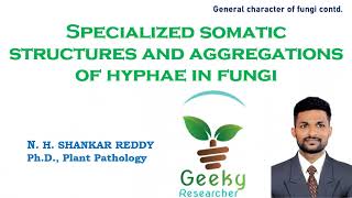 Lec 5 Specialized Somatic Structures and Aggregations of Hyphae in Fungi  Plant Pathology [upl. by Morey694]