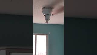 iphone ringtone meme but with ceiling fan ceilingfan funny shorts memes [upl. by Waine]