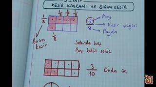 3sınıf matematik Kesir kavramı ve birim kesir Bulbulogretmen matematik kesirler [upl. by Malkah]