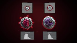 The Attune CytPix Flow Cytometer Enables You to Gain More Data with Automated Image Analysis [upl. by Root]